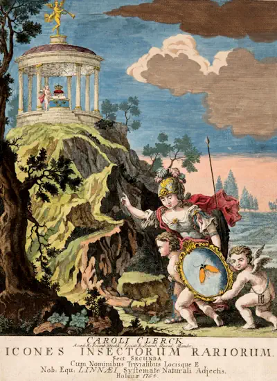 Icones Insectorum Rariorum. Sectio Secunda omslag