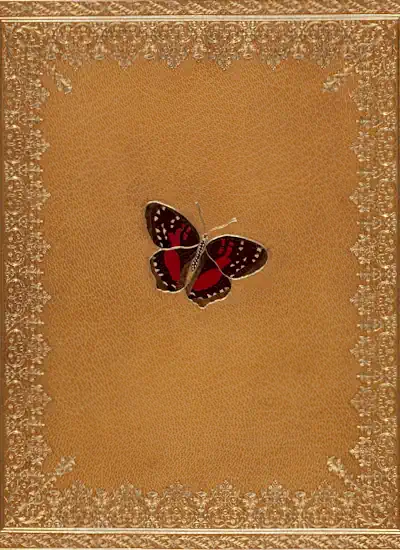 Icones Insectorum Rariorum omslag