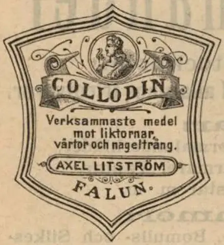 Illustration ur Idun: 1887 (1887), sida 7