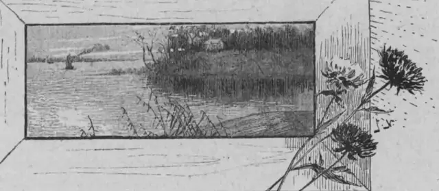 Illustration, sida 426