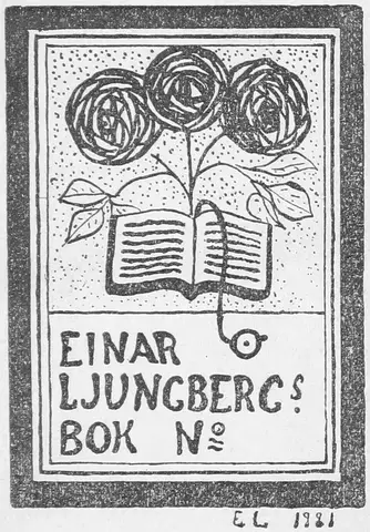 Illustration, sida vi