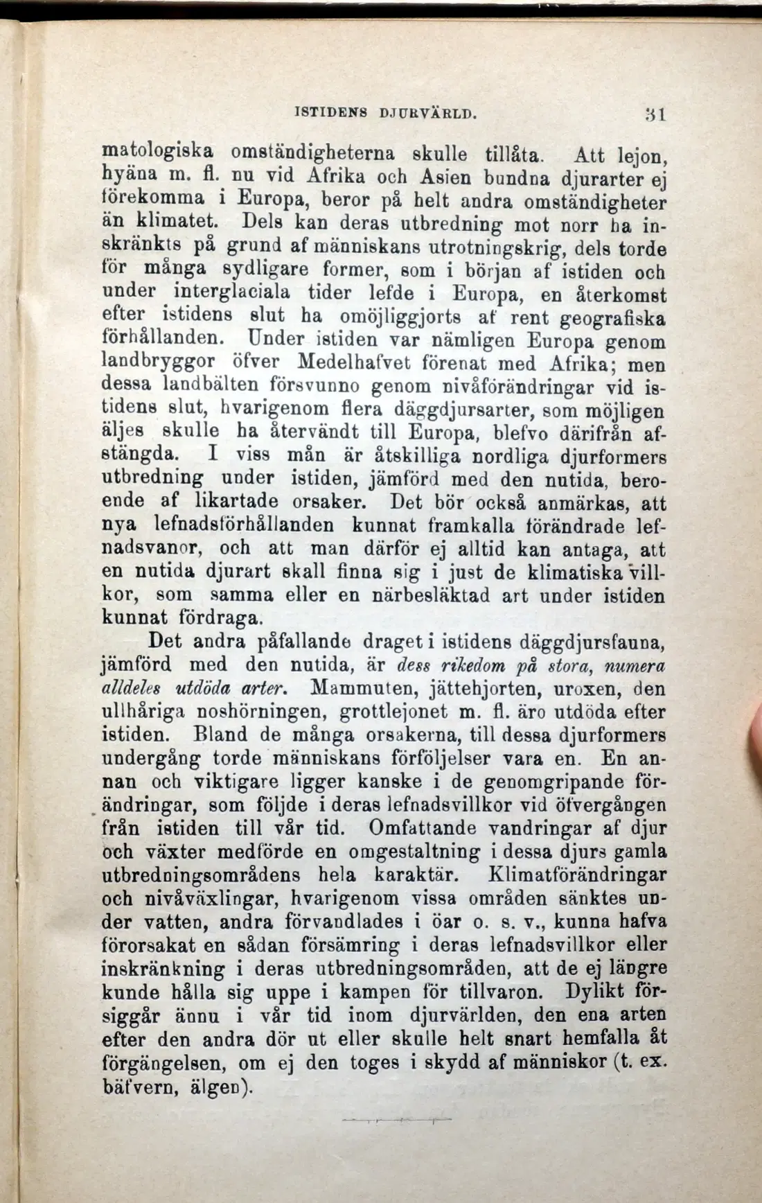 Originalsida 31