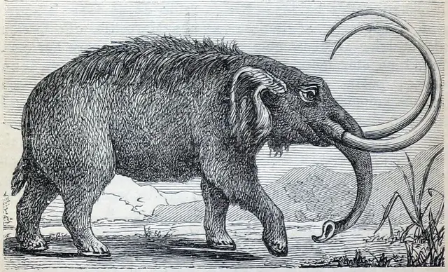 Illustration, sida 29