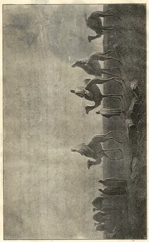 Illustration, sida 7