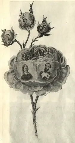 Illustration, sida 8