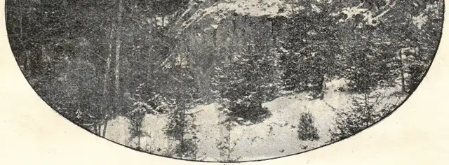 Illustration ur Julfrid: 1899 (1899), sida 24