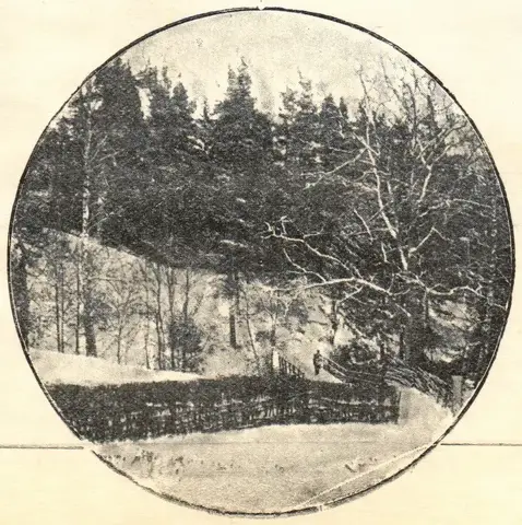 Illustration ur Julfrid: 1899 (1899), sida 30
