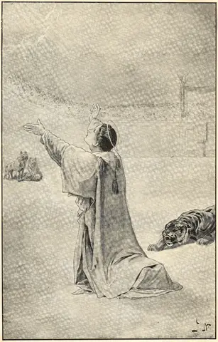 Illustration, sida 17