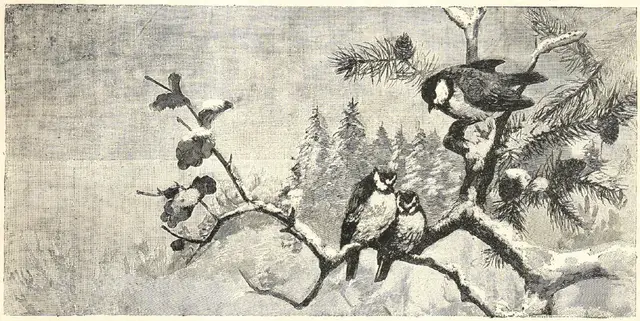 Illustration, sida 1