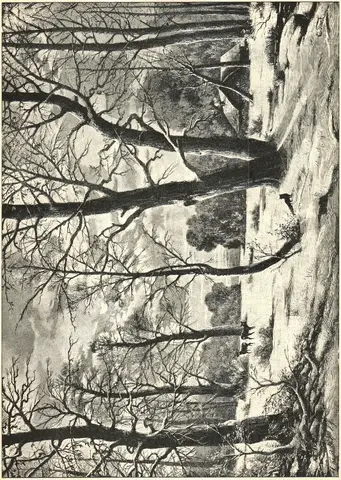 Illustration ur Julfrid: 1905 (1905), sida 29