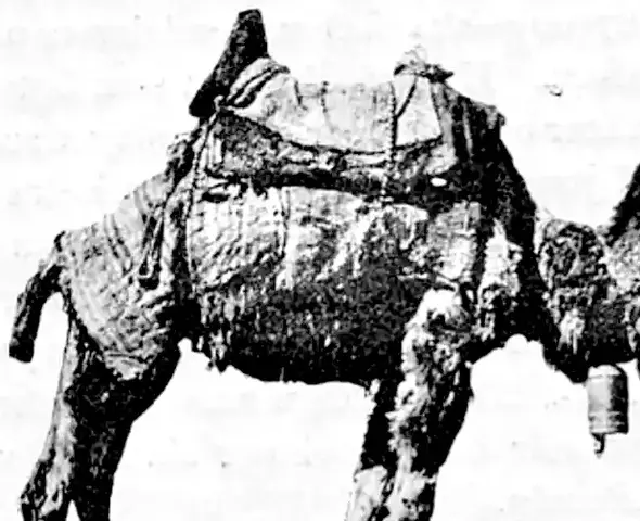 Illustration ur Konung Oscar's Beskickning till Schahen af Persien år 1890 (1891), sida 92