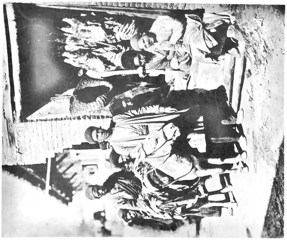 Illustration, sida 341