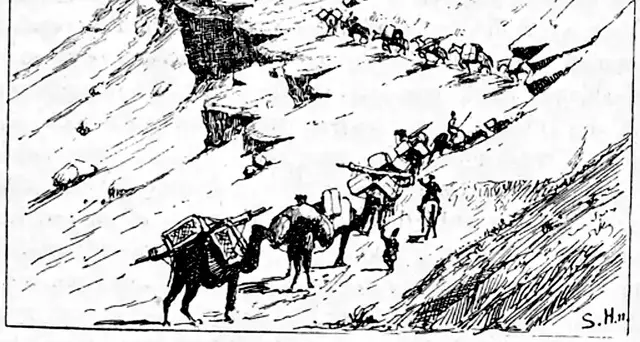 Illustration, sida 394