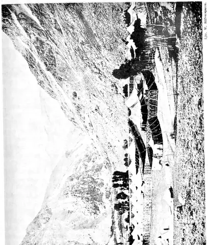 Illustration, sida 401