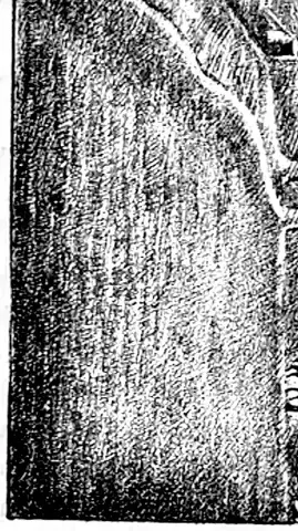 Illustration, sida 432