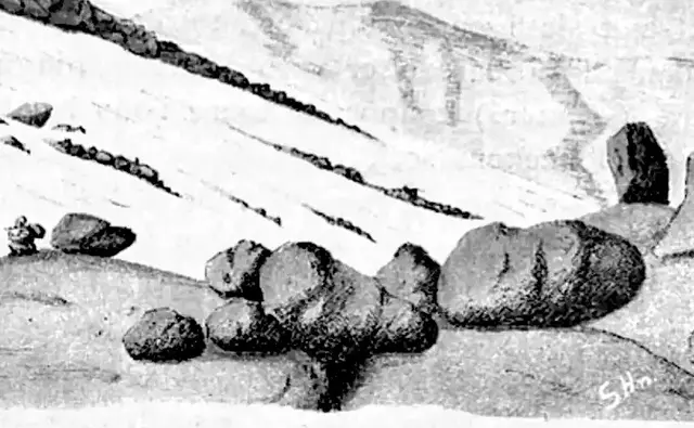 Illustration, sida 440