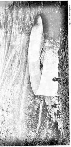 Illustration, sida 555