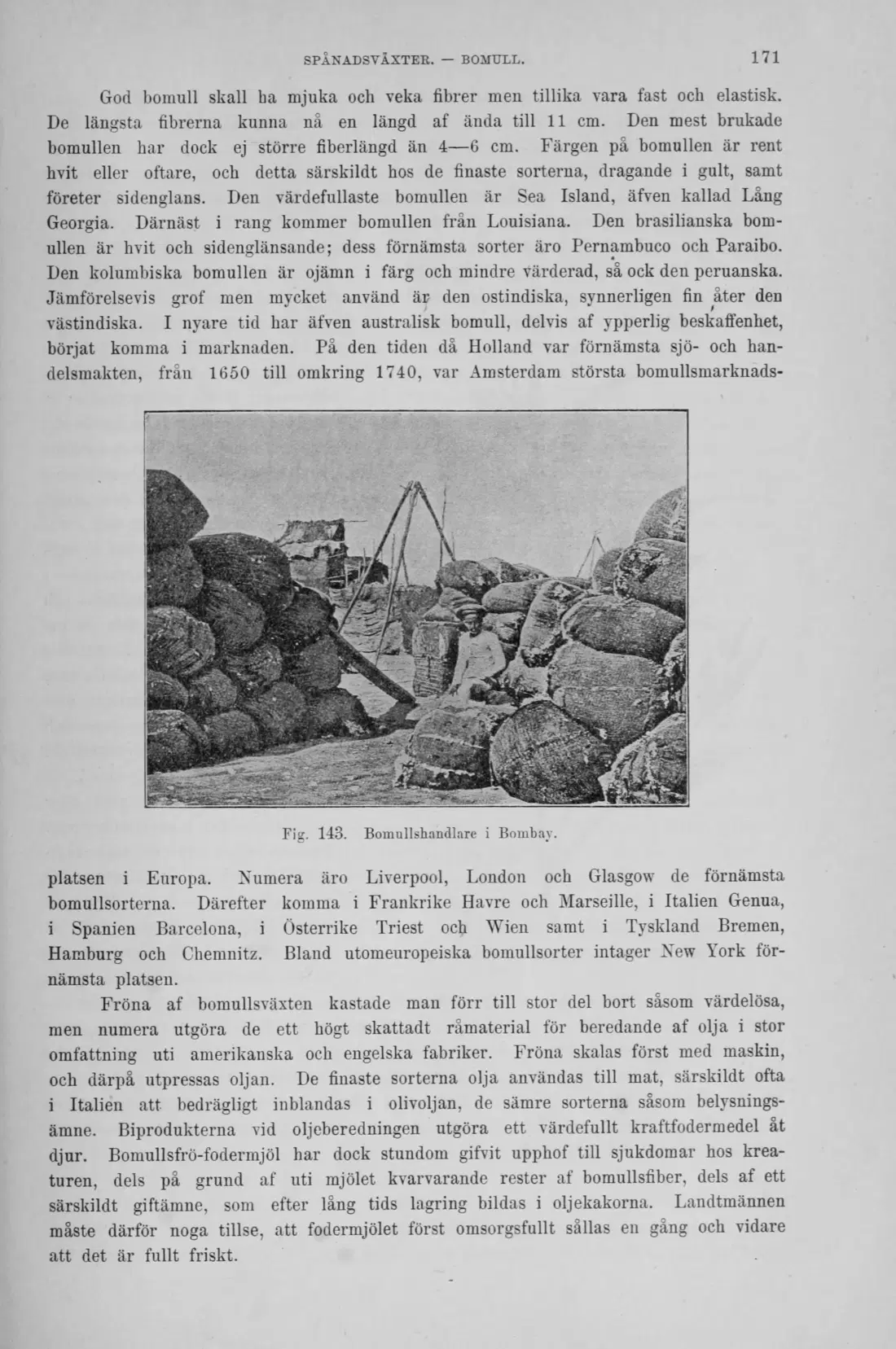 Originalsida 171