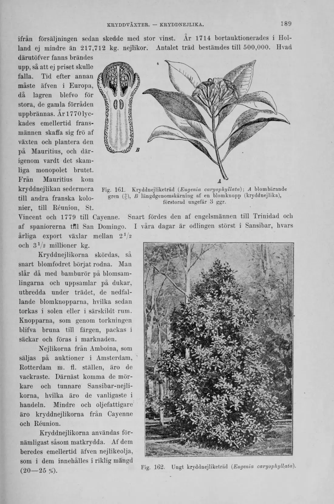 Originalsida 189