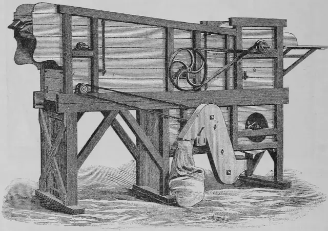 Illustration ur Kulturvaxter på åker och äng (1899), sida 140