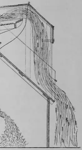 Illustration ur Kulturvaxter på åker och äng (1899), sida 142
