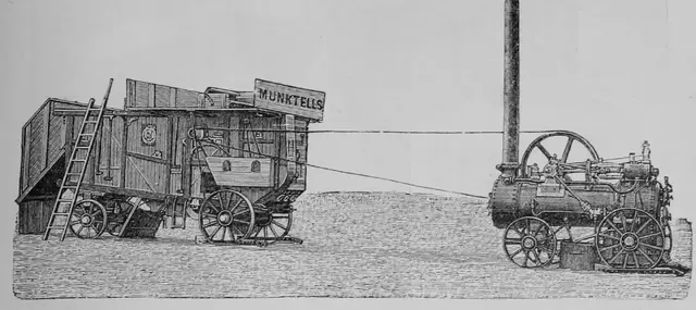 Illustration ur Kulturvaxter på åker och äng (1899), sida 143
