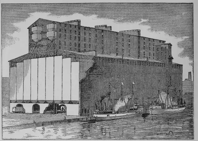 Illustration ur Kulturvaxter på åker och äng (1899), sida 144