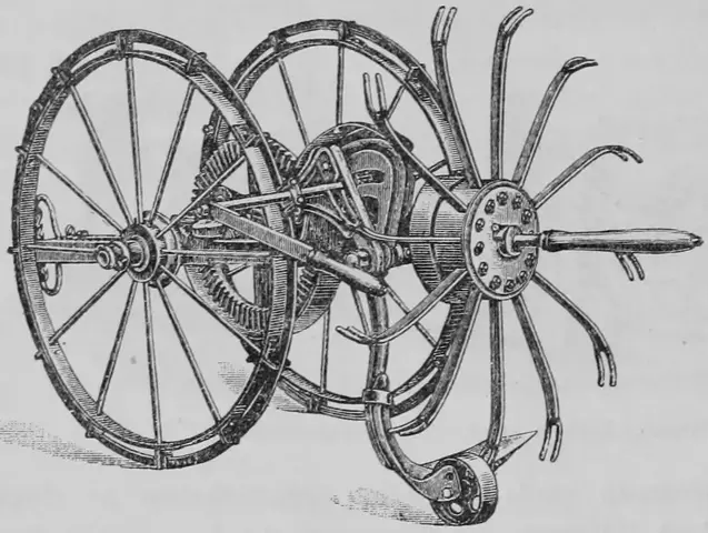 Illustration ur Kulturvaxter på åker och äng (1899), sida 156