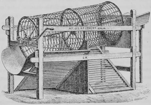 Illustration ur Kulturvaxter på åker och äng (1899), sida 157
