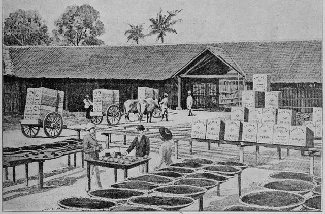 Illustration, sida 197
