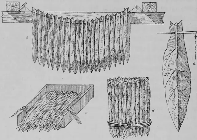 Illustration, sida 206