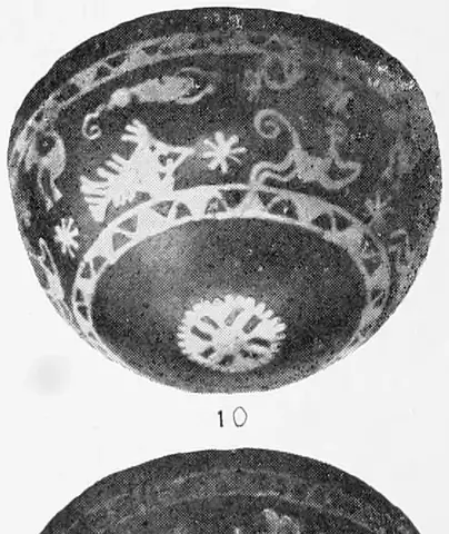 Illustration ur Kungliga Svenska vetenskapsakademiens årsbok (1910), sida 653