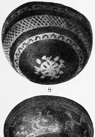 Illustration ur Kungliga Svenska vetenskapsakademiens årsbok (1910), sida 653