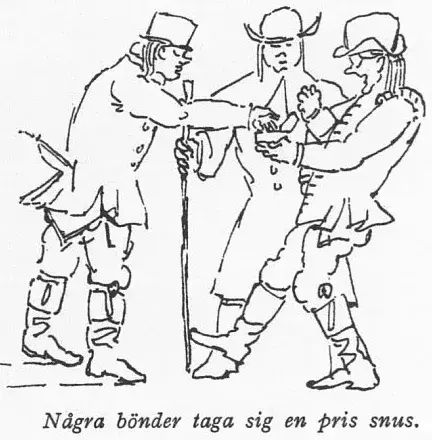 Illustration, sida 96