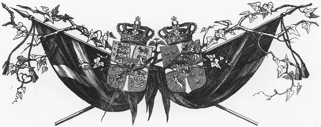 Illustration, sida 224