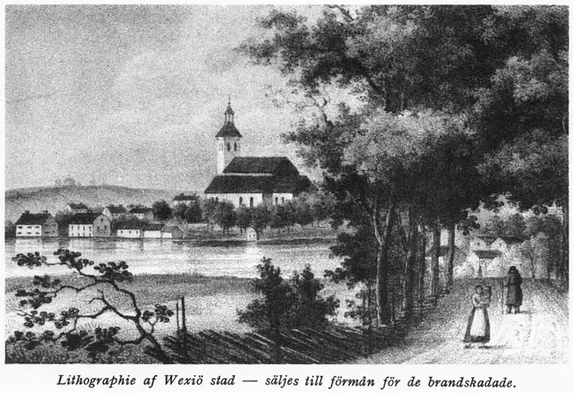 Illustration, sida 225