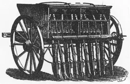 Illustration, sida 304