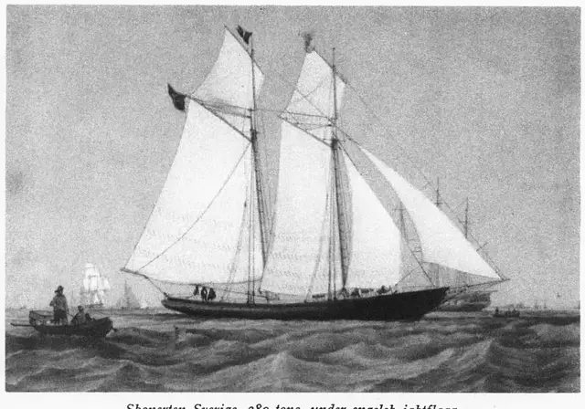 Illustration, sida 305