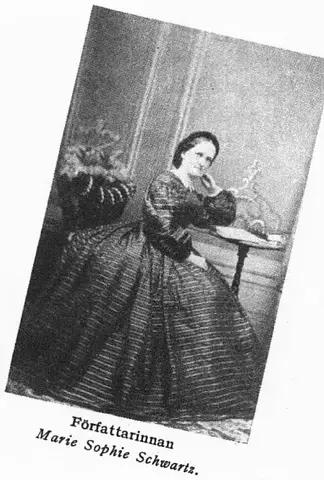 Illustration, sida 393