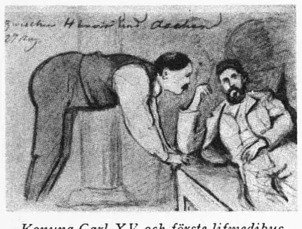 Illustration, sida 477