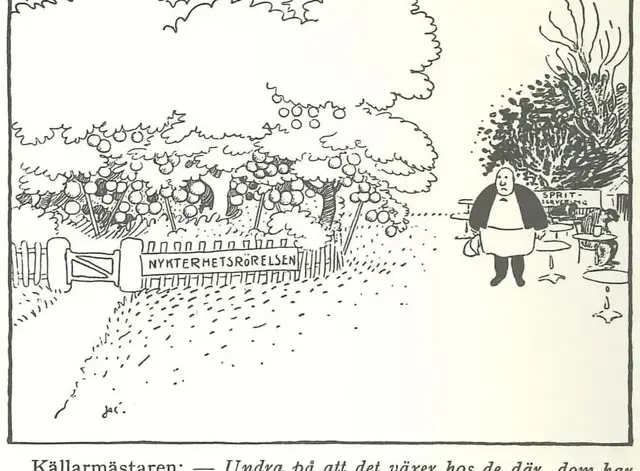 Illustration, sida 261