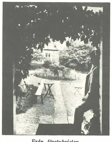 Illustration, sida 264
