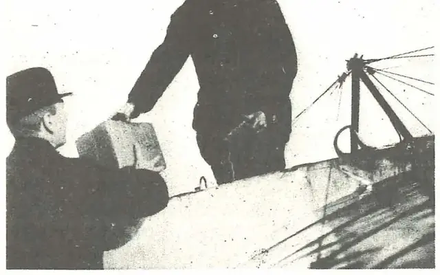 Illustration, sida 311