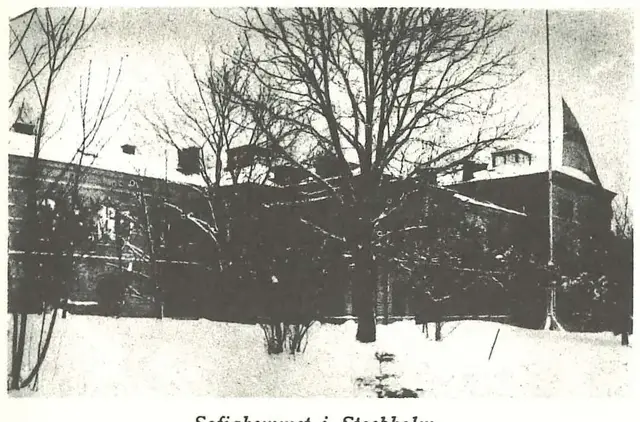 Illustration, sida 313