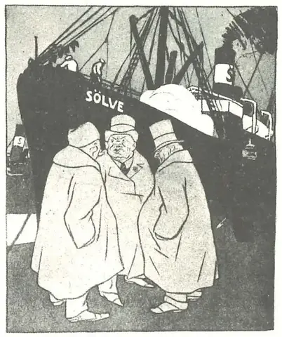 Illustration, sida 381