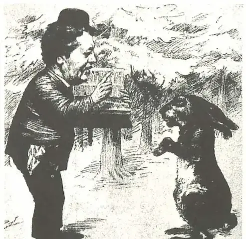 Illustration, sida 435