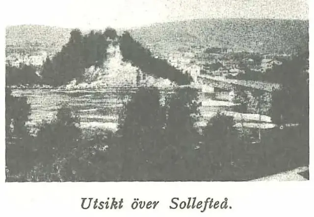 Illustration, sida 460
