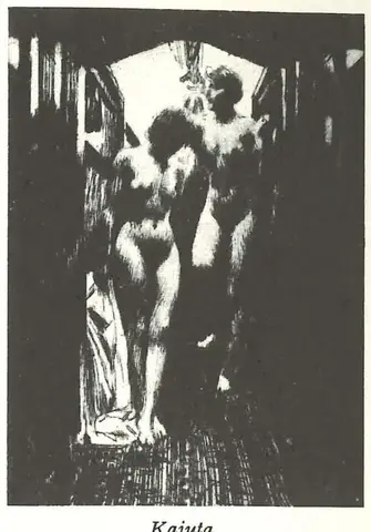Illustration, sida 479
