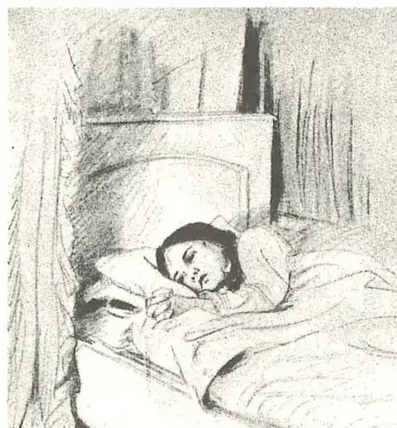 Illustration, sida 480