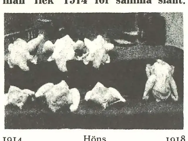 Illustration, sida 487
